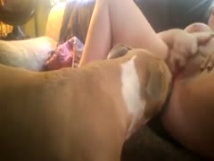 A mature bitch has her dog investigate and lick her pussy while rubbing her cunt.